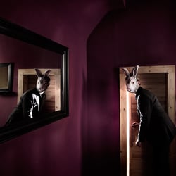 Rabbit Mask