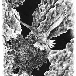 Ill. 2
