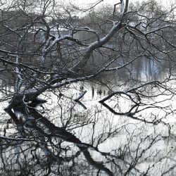 Spiegelbild im Eis