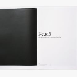 theudo 02