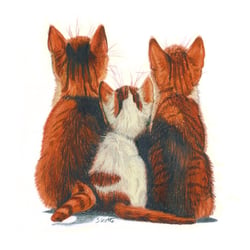 Katzenkino