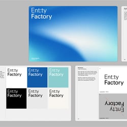 Entity Factory – Manual Guide