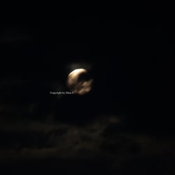 Moon Mai 2014 © by Dina.T