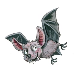 Fledermaus