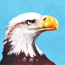 adler