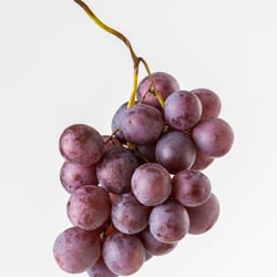 food-fotografie-bruchsal-robach