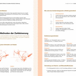 Doppelseite aus meiner Abschlussarbeit, dem Koch- und Lehrmaterial der fiktiven Kochschule „gaumenschmaus“.