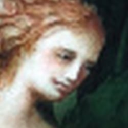 Umschlag- und Innengestaltung