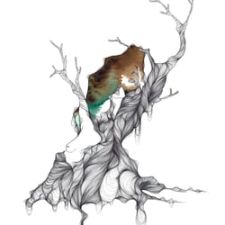 Arbre III
