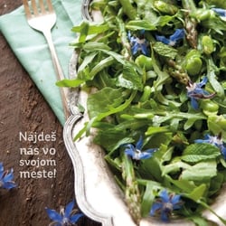 Plakat / Herbs in the city