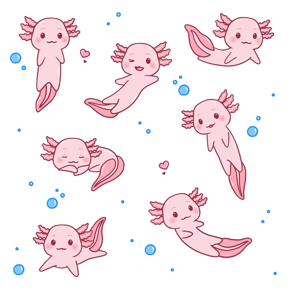 Axolotl00