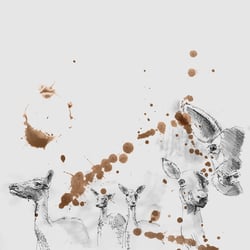 Rehe