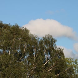 Natur 2012