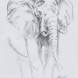 Bleistift