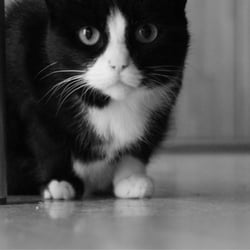 Look in my Eyes