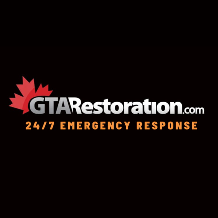 Restoration Services Inc.