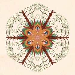 Mandala4
