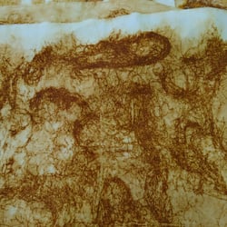 Rost 3