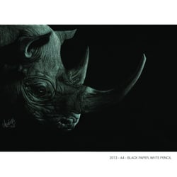Portrait of a Rhino- Black paper A4 / White color pencil