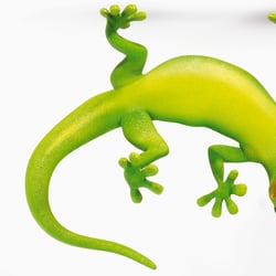 Gecko Magnetic