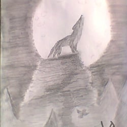 Einsamer Wolf