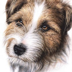 Furry Friends, Kalender by Nicole Zeug, nicolezeug.de
