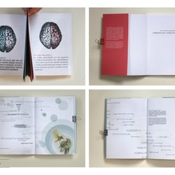 Buch über die Hemisphären
