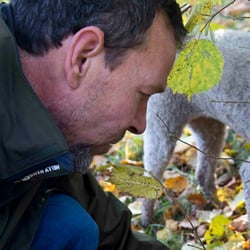 Trüffelanbau Fabian Sievers Leinetal