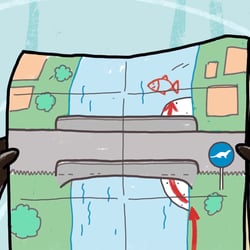 Fischotter leben gefährlich!