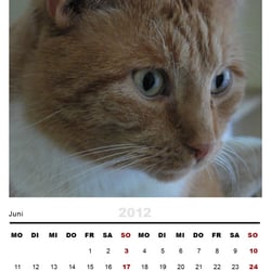 Kalendar 2012 – Format A3 & A6 – Gestaltung & Fotos