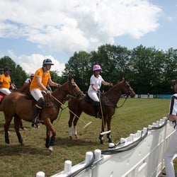 polo bs kl 12