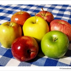 bunte Äpfel