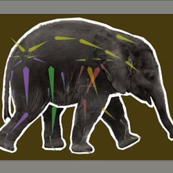 Rigging und Animation von Fotografien/ Pixelgrafiken