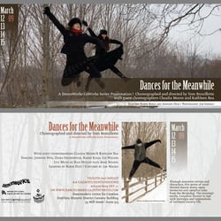 Kunde: Danceworks festival (Toronto, Kanada)
