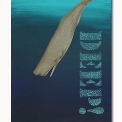 Cachalot 01