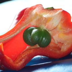 Paprika 02