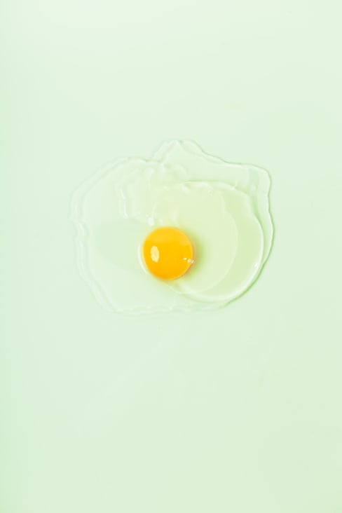 Egg