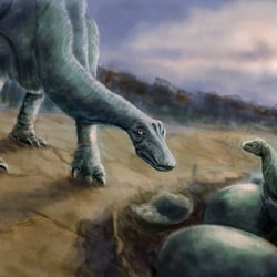 Dinosaur hatchery