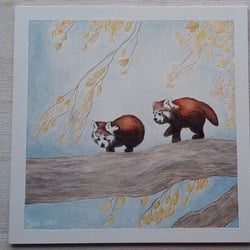 Red Panda Cubs