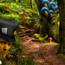 „the way of alice“