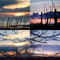 Frühling 2018