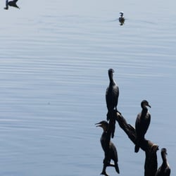 lake nakuru44