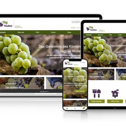 woocommerce, php, jquery, html&css