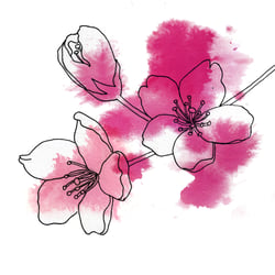 Illustration Julia Bittruf