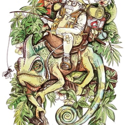 safari
