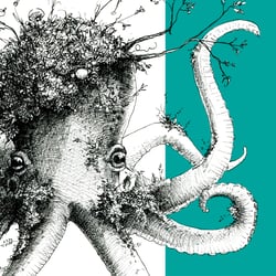 Waldundwiesenoktopus