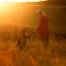 Freundschaft
