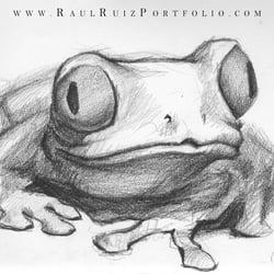 Frosch