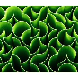 Permutation