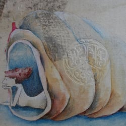 Muschel-Idylle